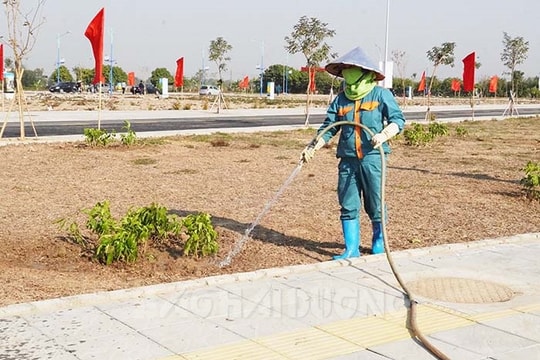 Tỷ lệ cây xanh đô thị ở TP Hải Dương tăng 3 m2/người